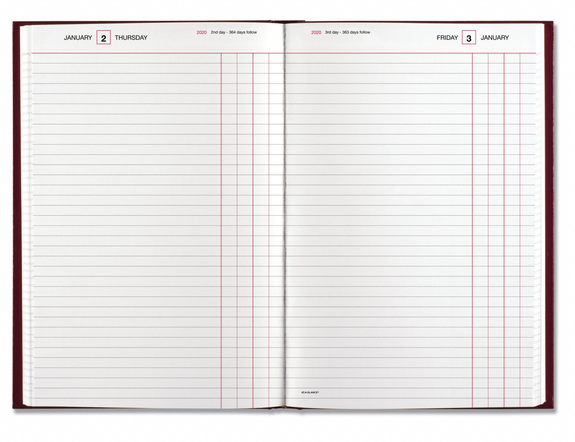 ATAGLANCE Planner, Format Daily, Sheet Size 711/16 in x 121/8 in