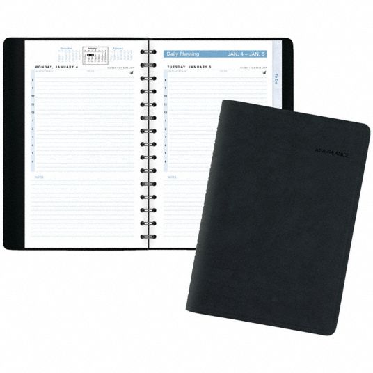 AT-A-GLANCE, 8 in x 4-7/8 in Sheet Size, Daily, Appointment Book ...