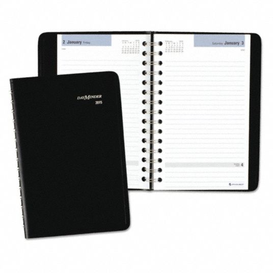 AT-A-GLANCE, 8 in x 4-7/8 in Sheet Size, Daily, Appointment Book ...