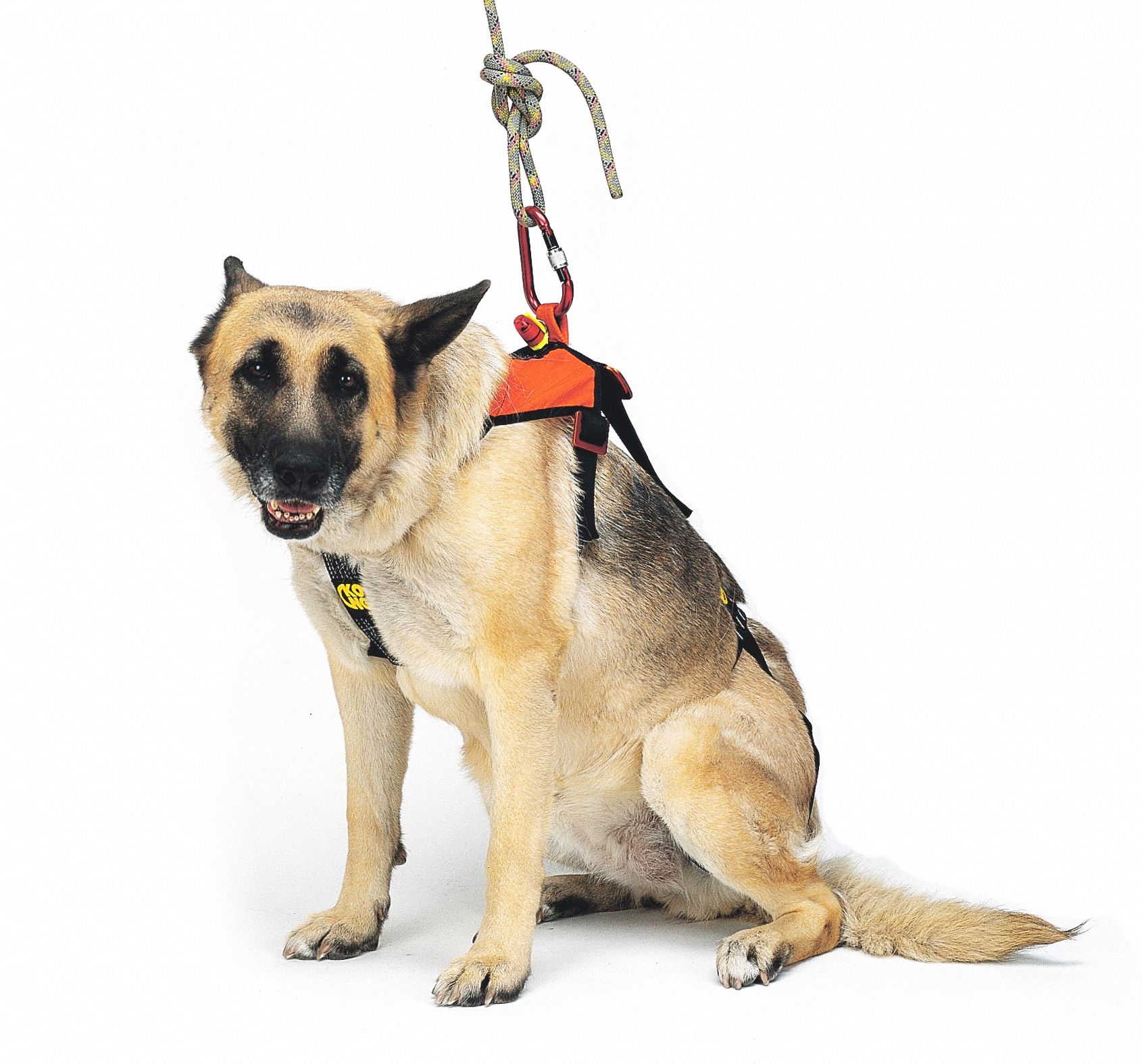 KONG USA Lifting Harness, Orange/Black, 24 in Length, 16 in Width