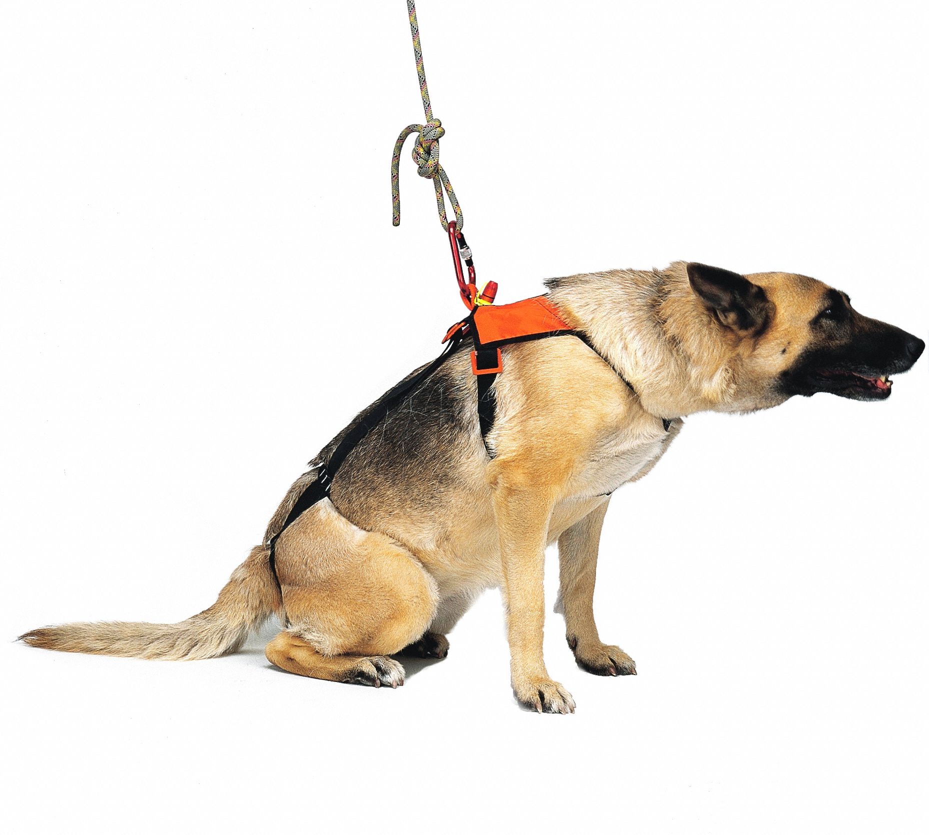 KONG USA Lifting Harness, Orange/Black, 24 in Length, 16 in Width