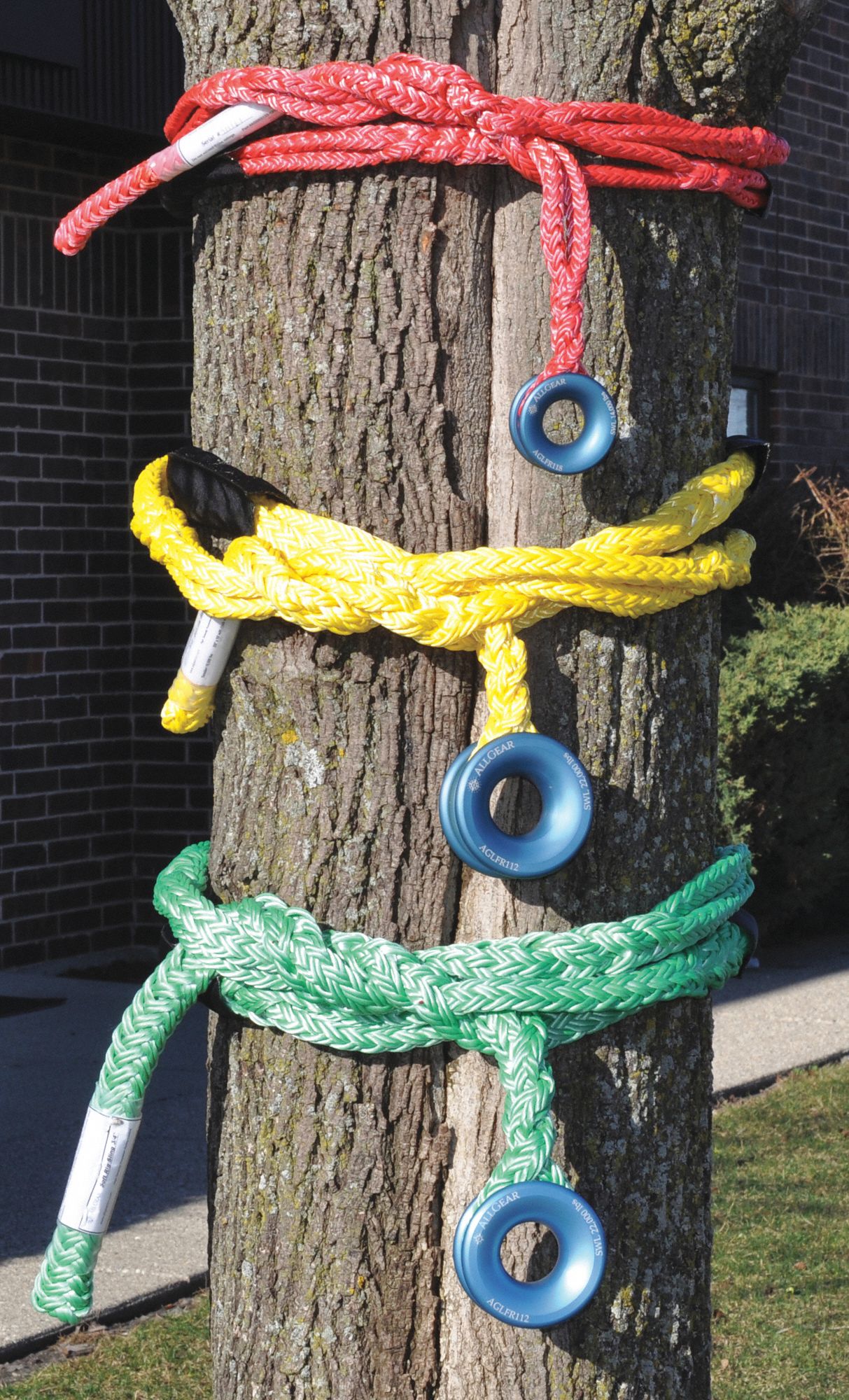 Tree Saddles and Slings Grainger Industrial Supply