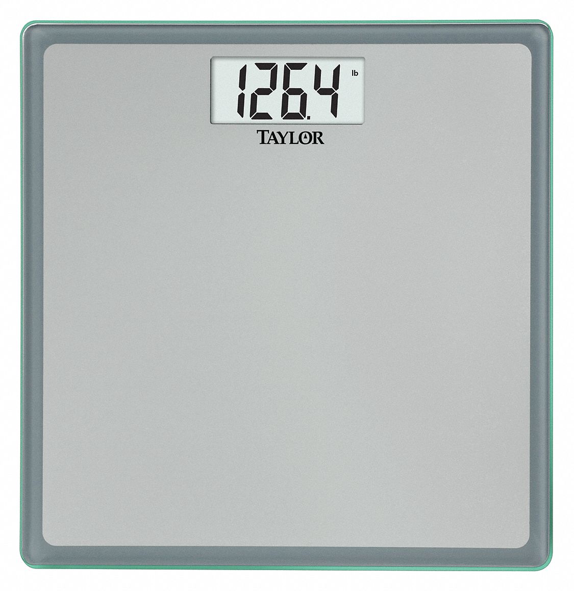 Taylor Lithium Digital Scale