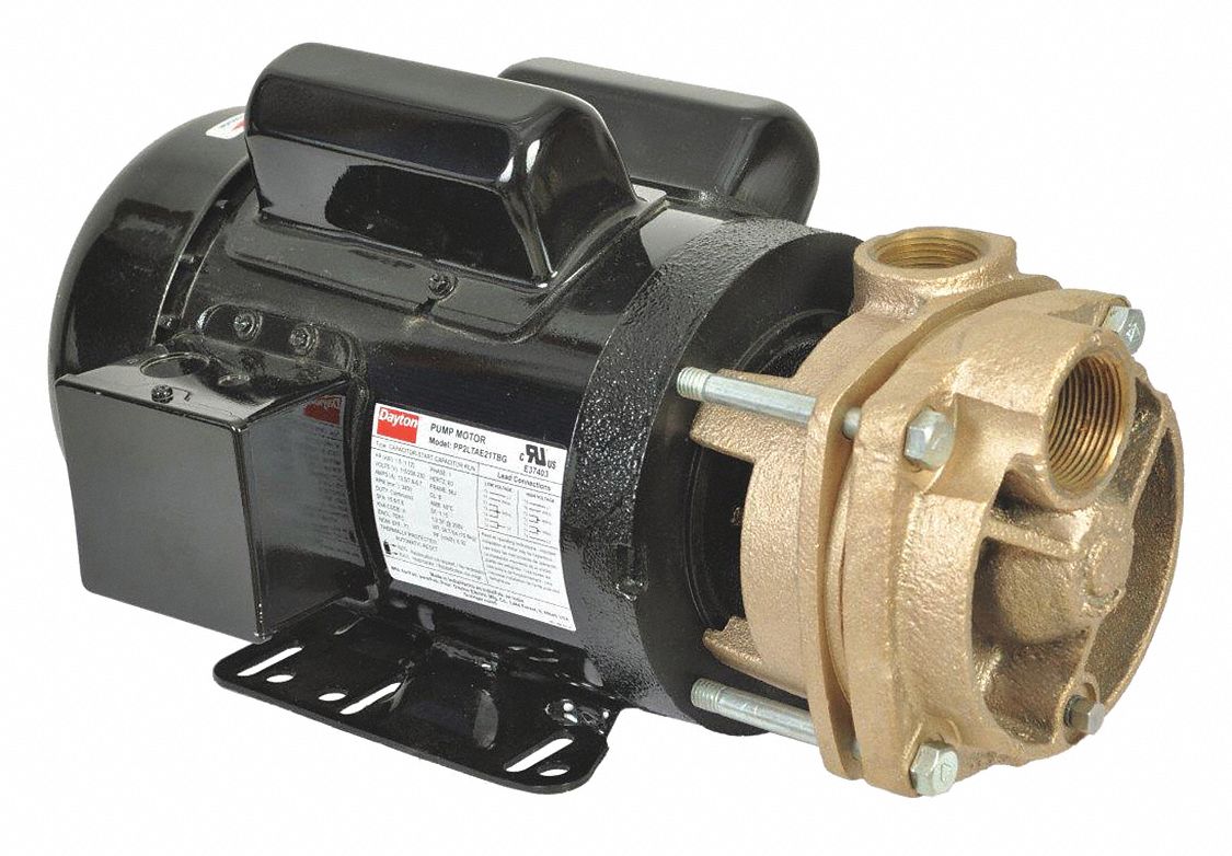 Turbine Pump: 115/208-230V