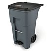 Rollout Step Trash Cans image