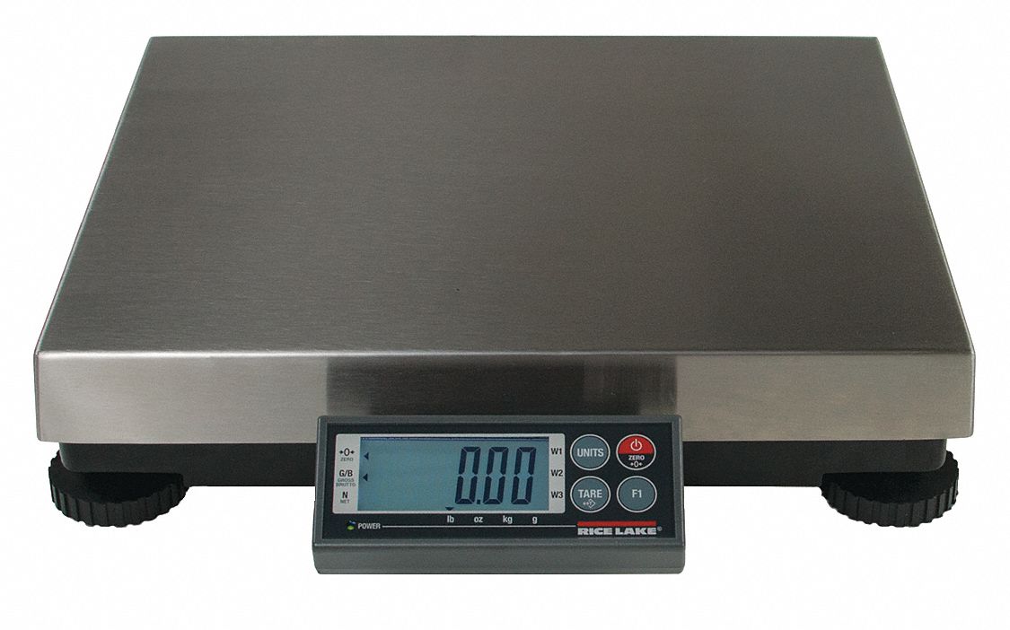 BENCHPRO, 75 Kg Wt Capacity, 12 In Weighing Surface Dp, Bench Scale ...