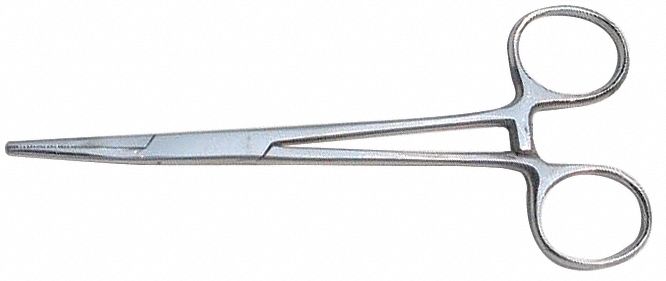 Kelly Forcep Silver Straight 5 1/2 L