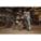 Product Image #7