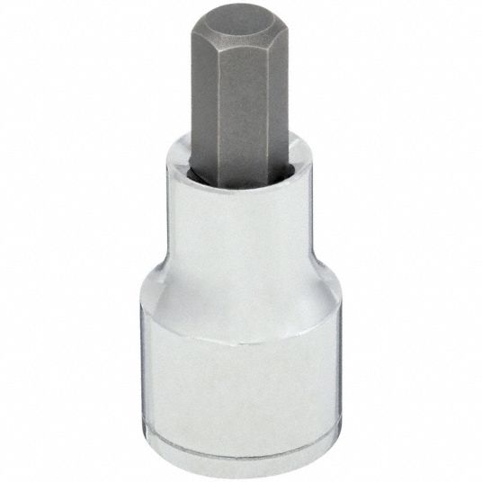 WESTWARD, 1/2 in Drive Size, Hex Tip, Socket Bit - 54TM96