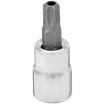 Tamper-Resistant Torx Socket Bits