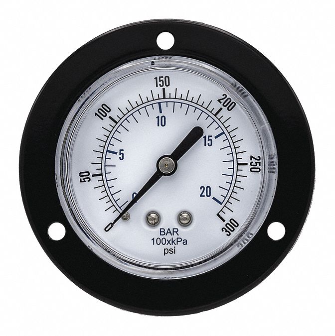 Panel-Mount Pressure Gauge: Front Flange, 0 psi to 300 psi, 2 1/2 in Dial, Center Back