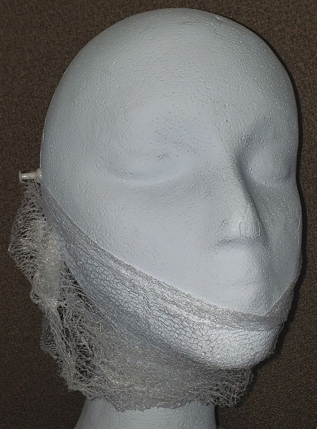 KEYSTONE Beard Cover, Polypropylene, White, PK100 54YE21POWER HOLD