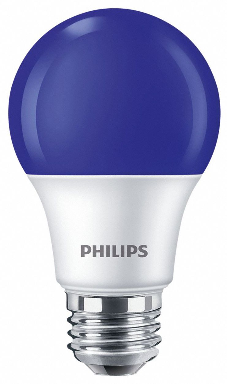 Blue light bulb