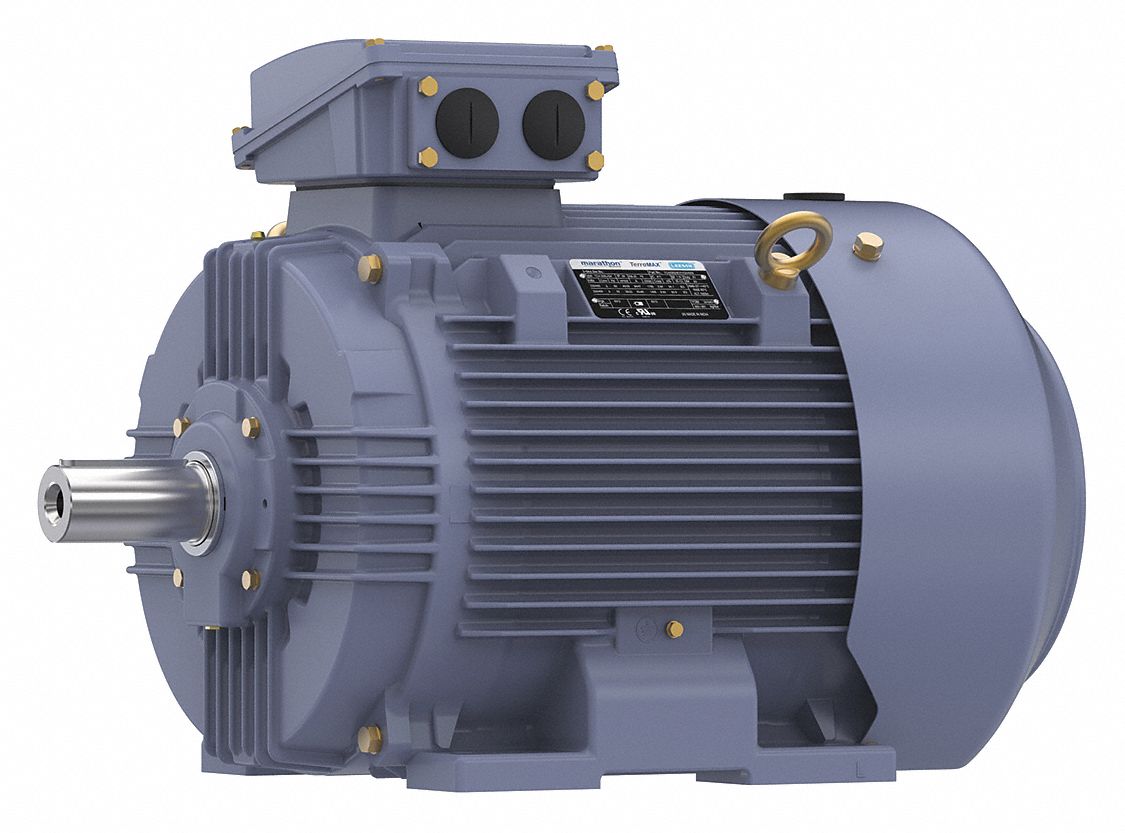 Metric Motor: Totally Enclosed Fan-Cooled, Rigid Base Mount, 40 HP, 230/460V AC, F