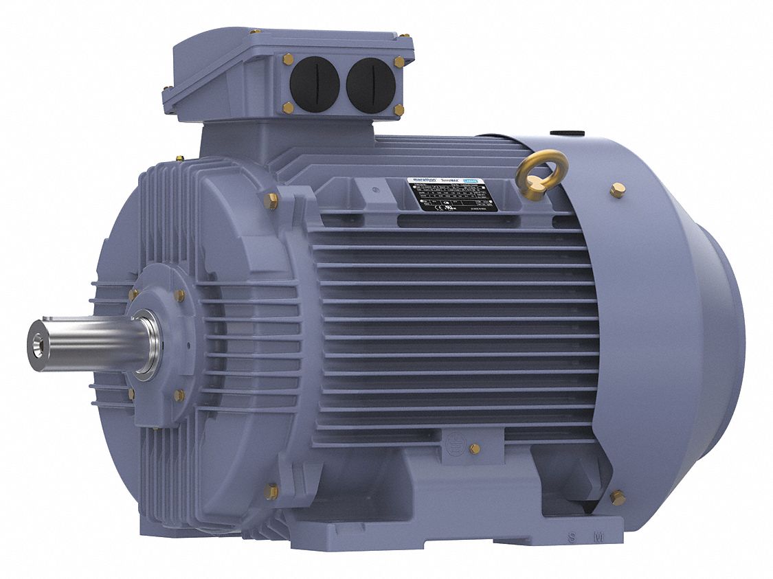 Metric Motor: Totally Enclosed Fan-Cooled, Rigid Base Mount, 75 HP, 230/460V AC