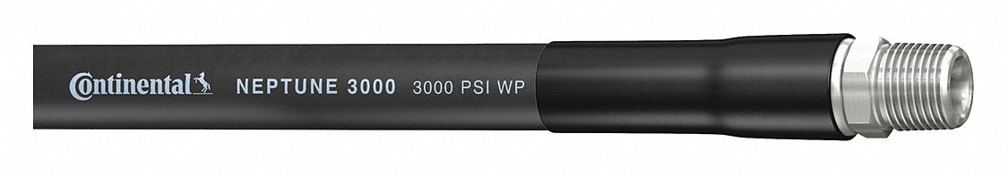 91 Image Name