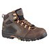 DANNER Hiker Boot, Composite Toe, Style Number 13860