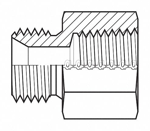 Hose Adapter 1 BSPP 1 NPT