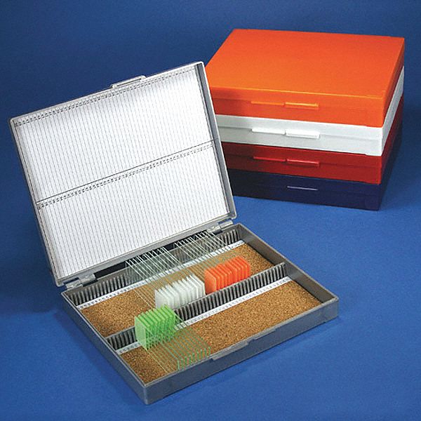Microscope Slide Box: Plastic, 8 in Overall Lg, 7 in Overall Wd, Assorted, 3 in x 1 in Size Slides