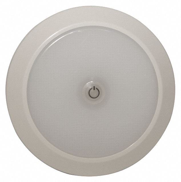 ECCO, Round, 1224V DC, Dome Light 55JG93EW0200 Grainger