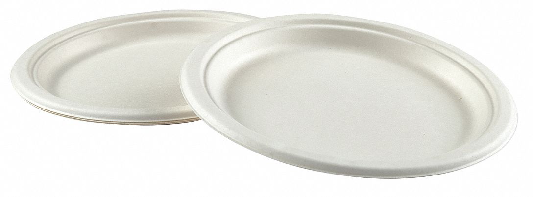 Disposable Plate: Fiber, Luncheon Plate, 9 in Disposable Plate Size, Patternless, 500 PK