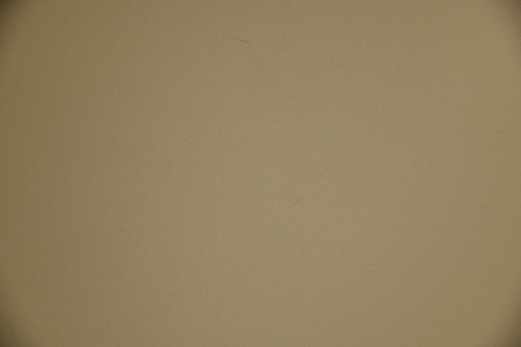 Rubstrip: PETG, 10 ft x 4 ft Panel Size, Beige, 0.05 in Thick, Each, 10 ft Overall Lg