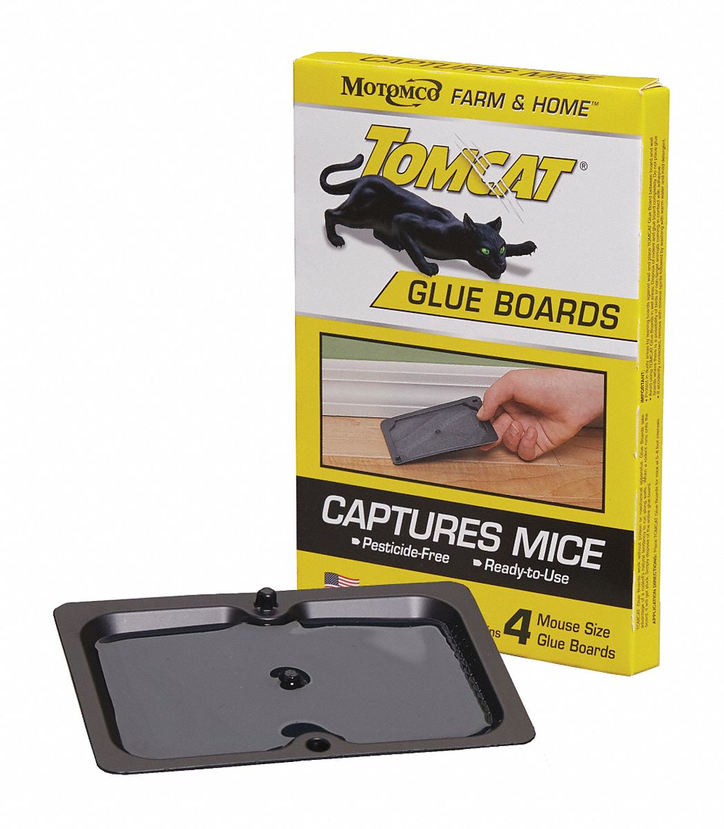 Tomcat Mouse Glue Trap W/Eugenol - 8 Pack 