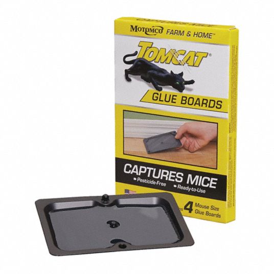 TOMCAT, Glue Trap, 1/4 in Overall Ht, Glue Trap 55MJ9732420 Grainger