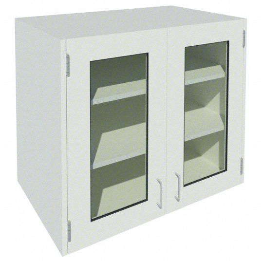Wall Mounted Cabinet Glass/Steel