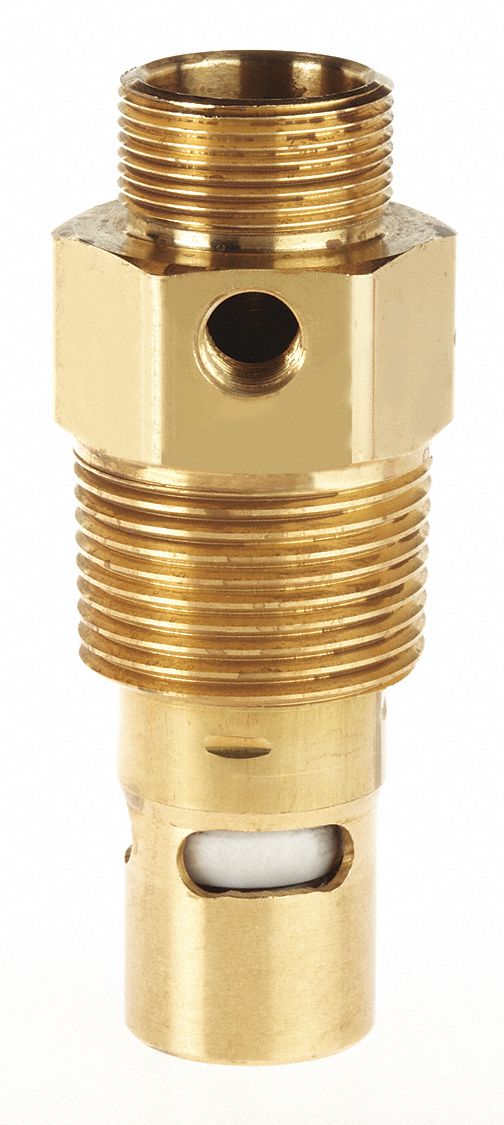 Pneumatic Check Valves