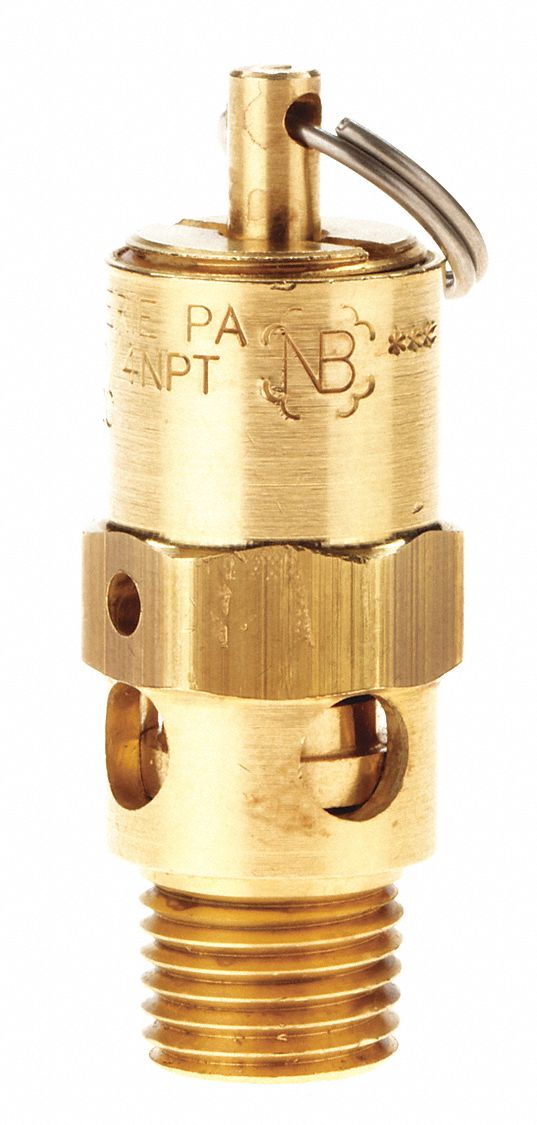 Safety Valve: Hard Seat, 1/4 in (M)NPT Inlet (In.), 1/4 in (F)NPT Outlet (In.)