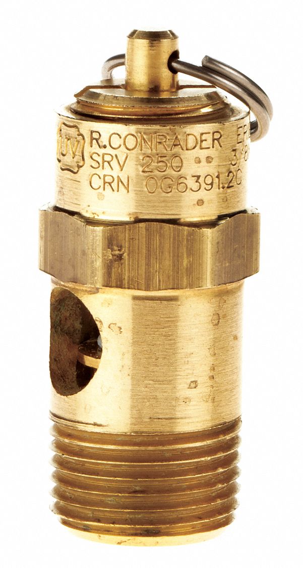 Safety Valve: Soft Seat, 3/8 in (M)NPT Inlet (In.), 100 psi Preset Setting (PSI), Brass
