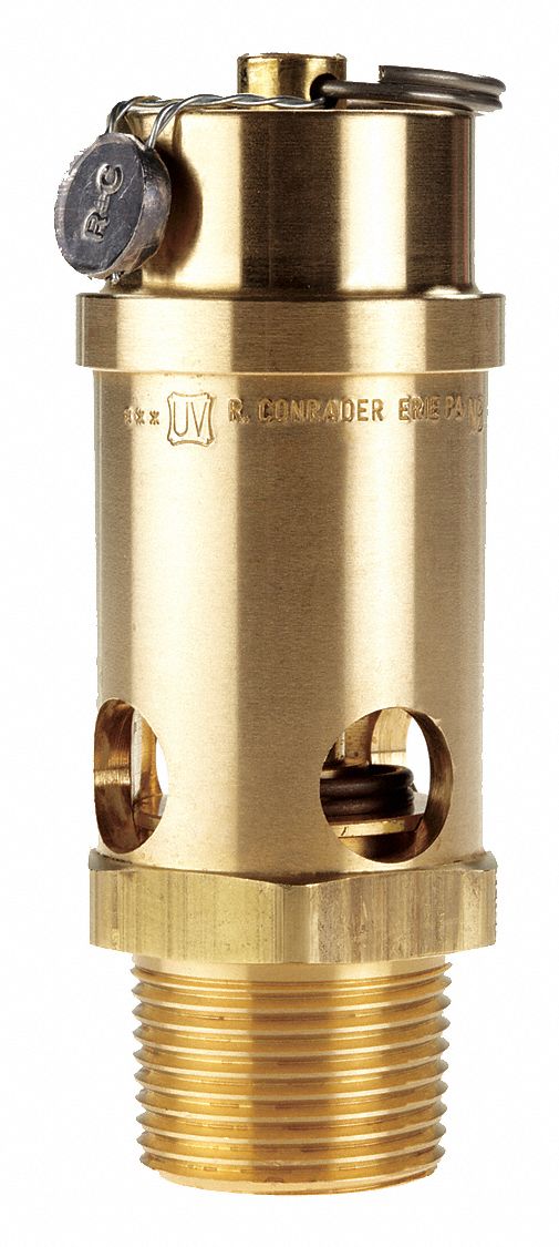 Safety Valve: Soft Seat, 1 in (M)NPT Inlet (In.), 1 in (F)NPT Outlet (In.), Brass, Silicone