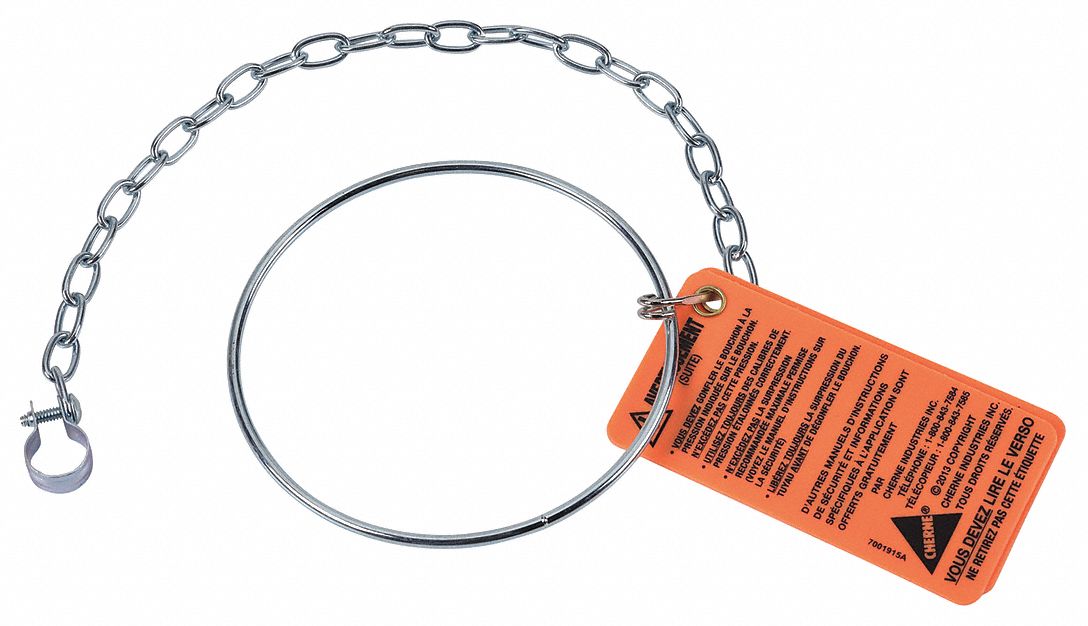 Replacement Ring and Chain: Stainless Steel, 12 in Overall Lg, 0.25 in Overall Ht