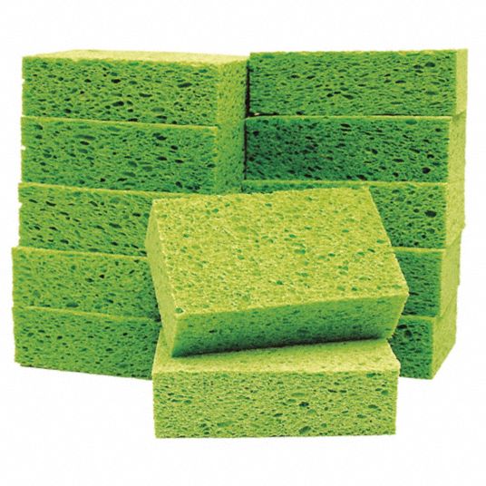 Sponges