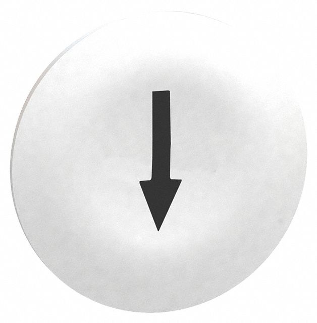 Push Button Head,  Marked,  22mm,  White