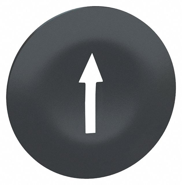 Push Button Head: 22 mm Panel Size, Non-Illuminated, Arrow, Black