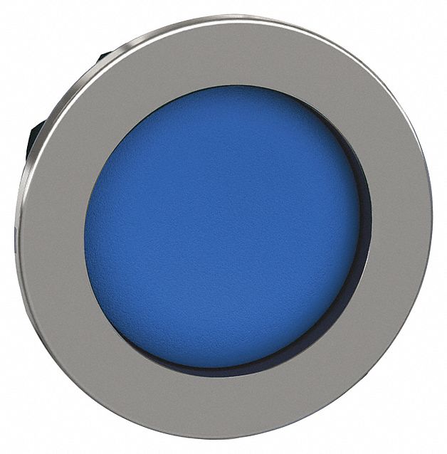 Push Button Head: 30 mm Panel Size, Non-Illuminated, Metallic, Blue