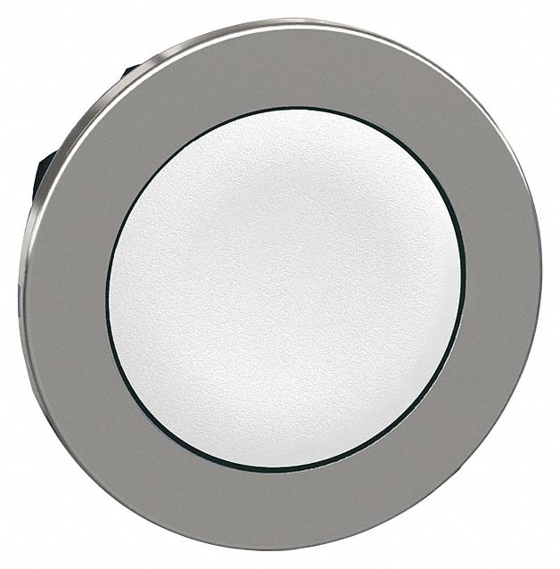 Flush Push Button: White, 30 mm Mounting Size, Metallic, Maintained