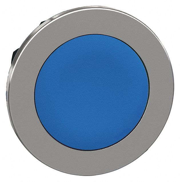 Flush Push Button: Blue, 30 mm Mounting Size, Metallic, Maintained
