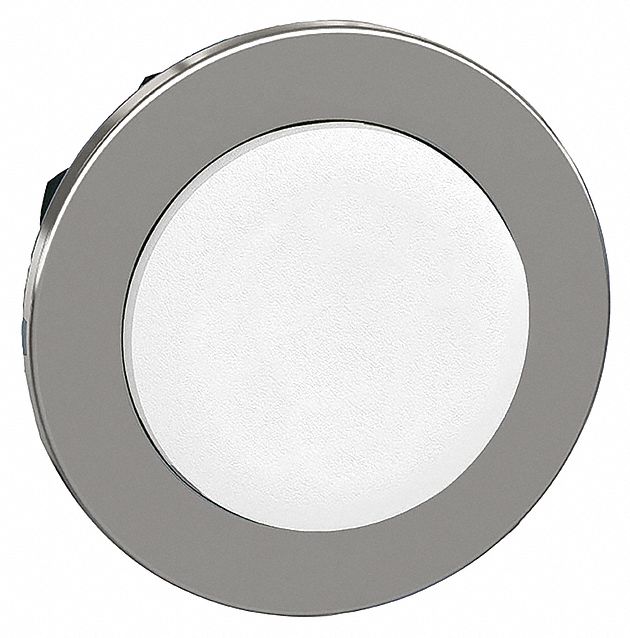 Extended Push Button: White, 30 mm Mounting Size, Metallic, Momentary