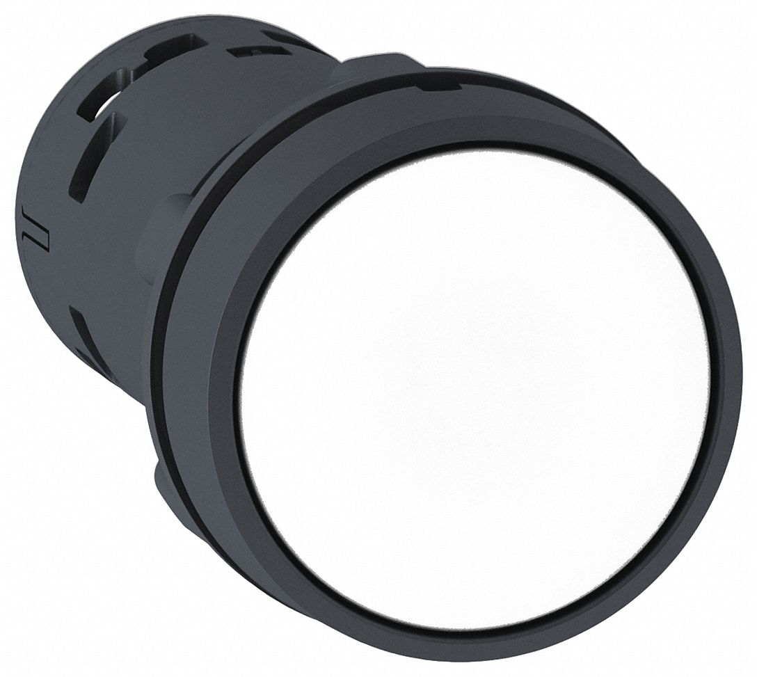Flush Push Button: White, 22 mm Mounting Size, Non-Metallic, Momentary