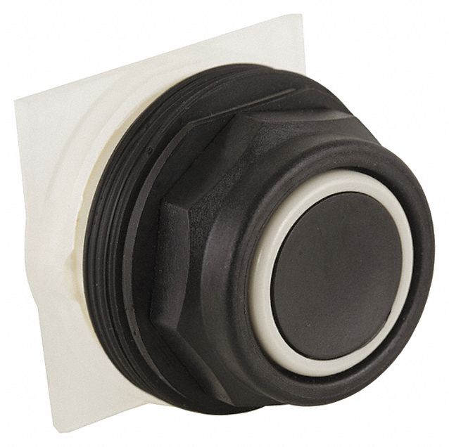 Flush Push Button: Black, 30 mm Mounting Size, Non-Metallic, Momentary