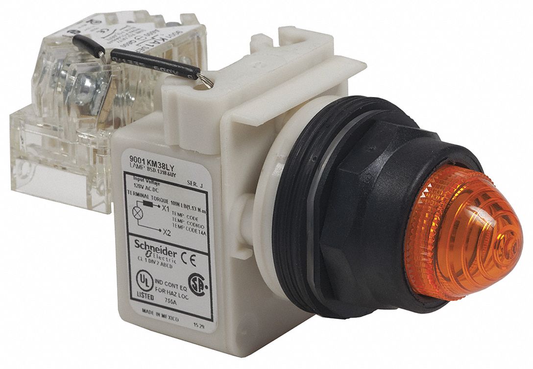 SCHNEIDER ELECTRIC Pilot Light, 30 mm, 120V AC Voltage, Lamp Type LED