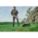 Product Image #9
