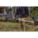 Product Image #10