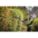 Product Image #4