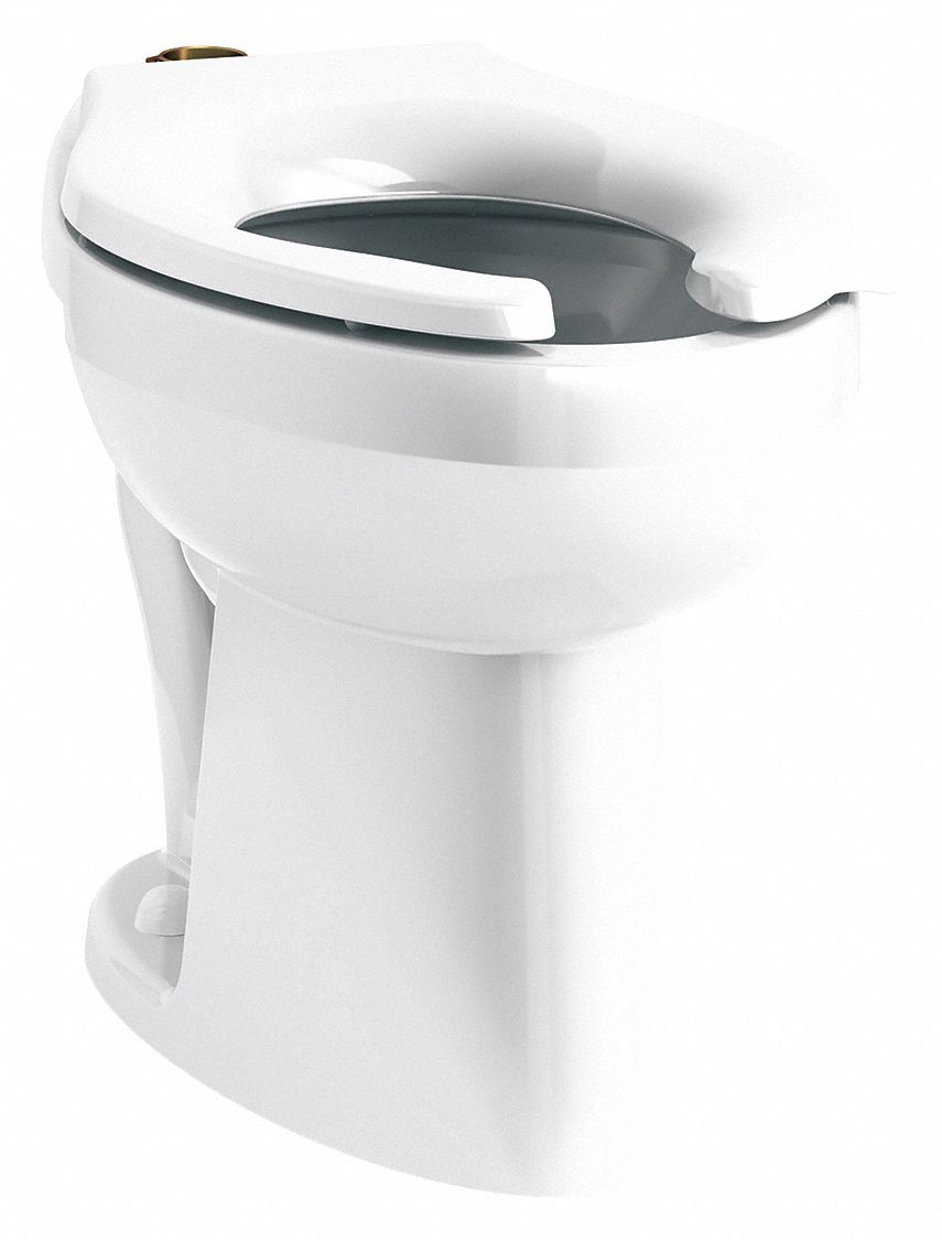 KOHLER Elongated, Floor, Flushometer Single Flush, Bedpan Holding