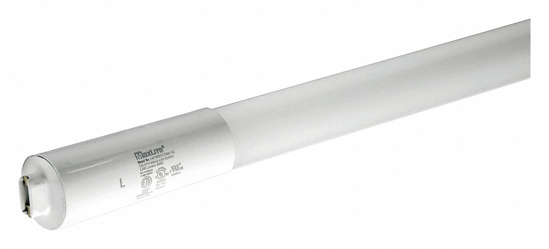 MAXLITE Linear LED Bulb, Type B, T8, Recessed Double Contact (R17d), 5000K Color Temperature