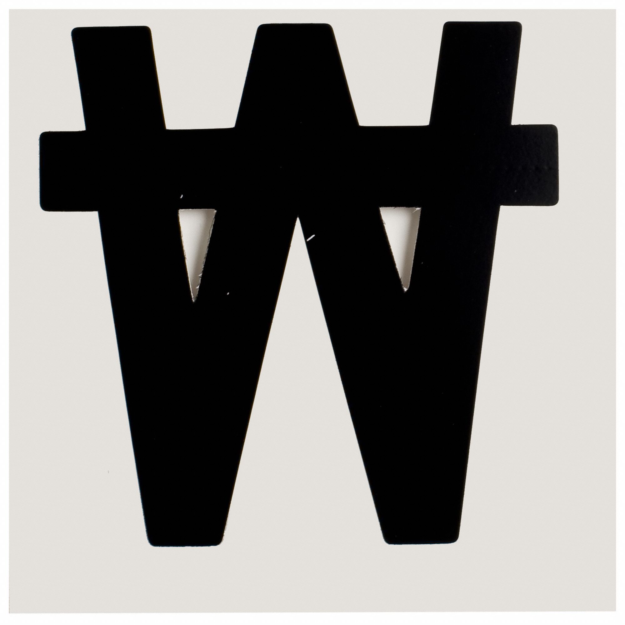 BlankLabel, Polyester, 4inH, 4-1/4inW, PK10